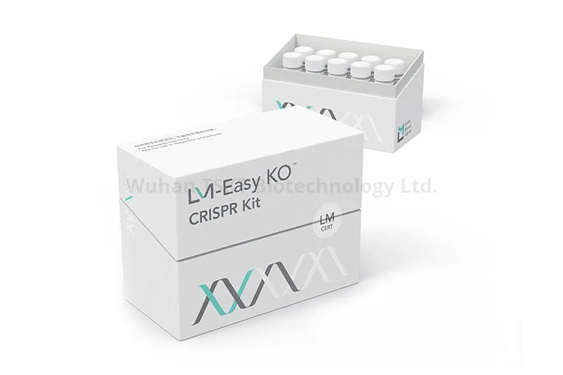 The Difference Between CRISPR Easy KO Kits and Standard Gene Editing Kits