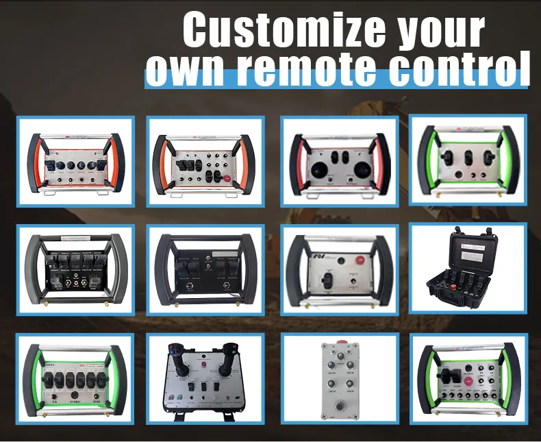 Customized Wireless Remote Control System