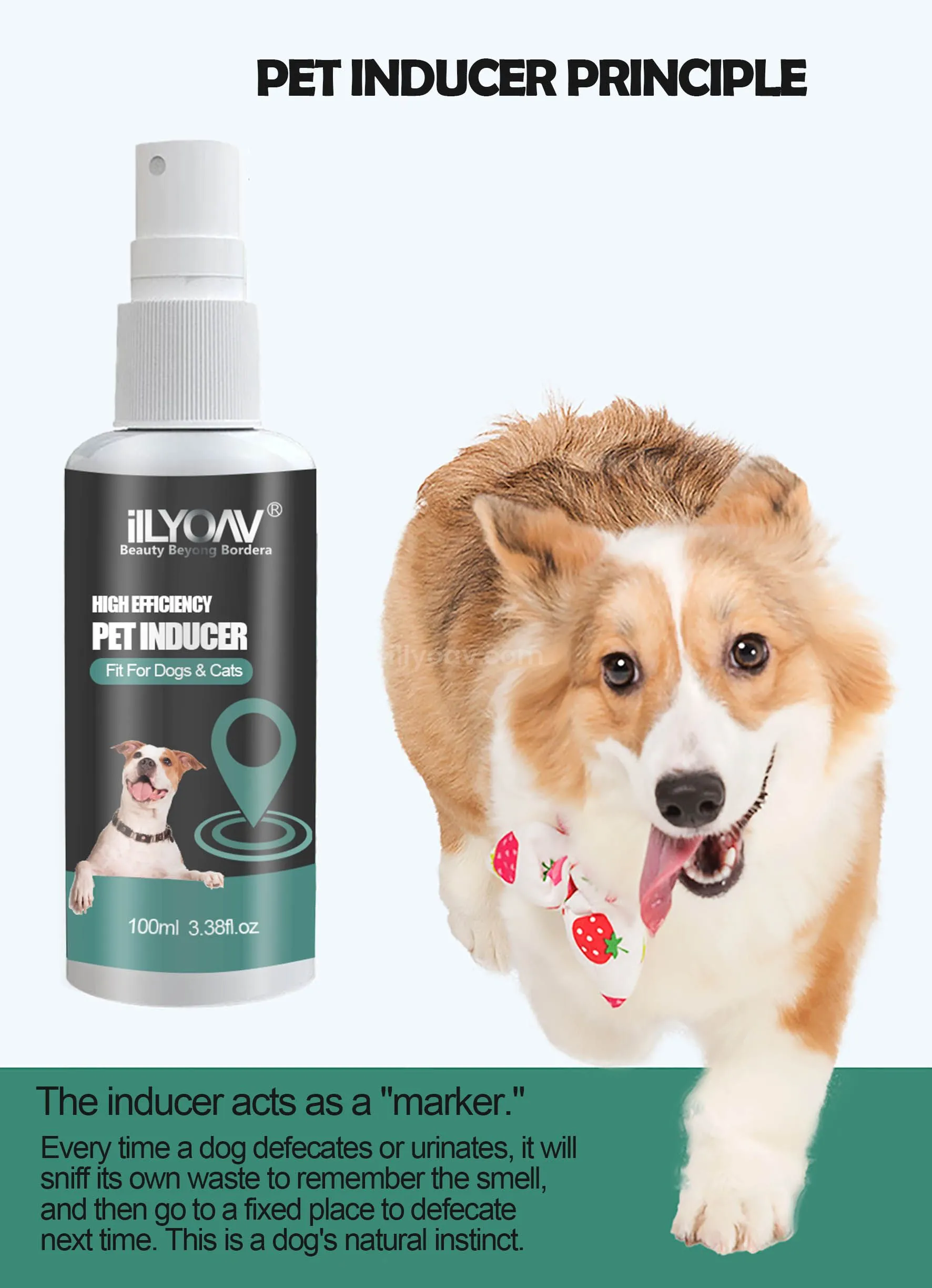 iLYOAV Pet Inducer: High Efficiency Care for Dogs & Cats - 100ml