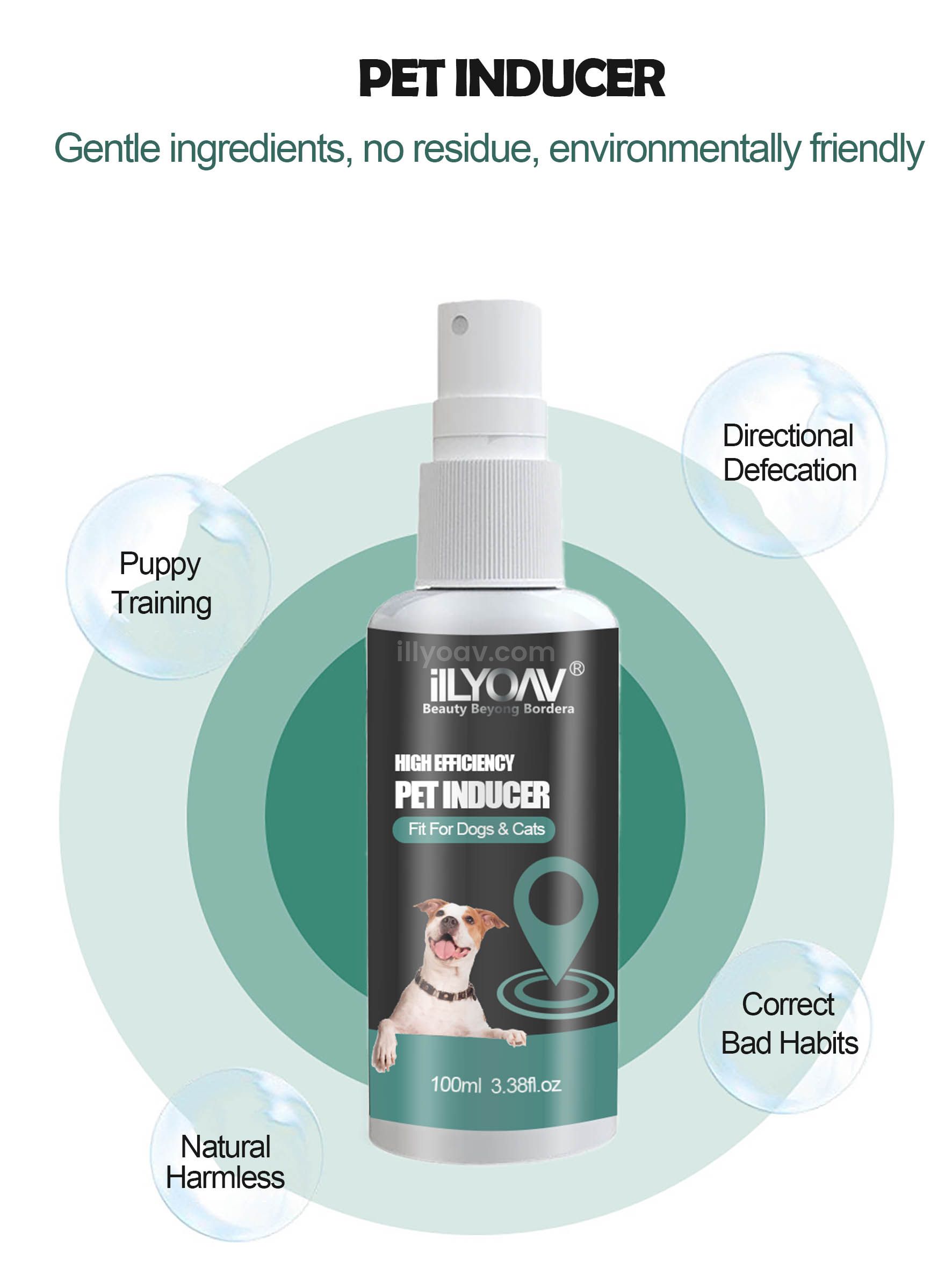 ilLYOAV Pet Inducer Now in Mass Production – The Must-Have Pet Product Flying Off Shelves!