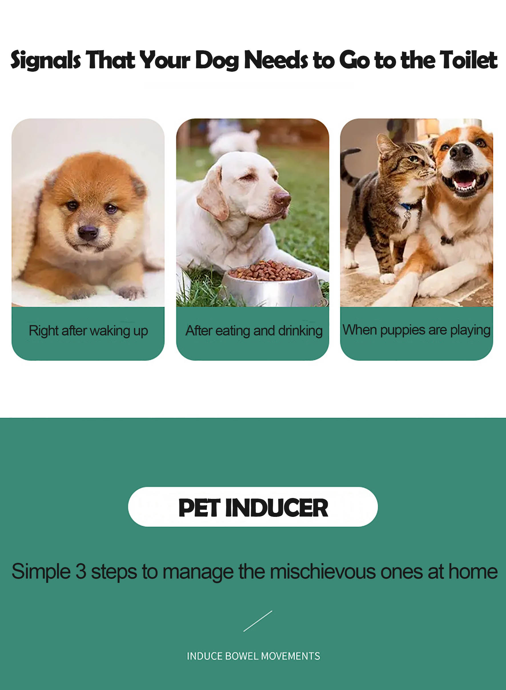 The Necessity of Using ilLYOAV Pet Inducer