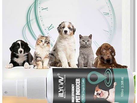 The Necessity of Using ilLYOAV Pet Inducer
