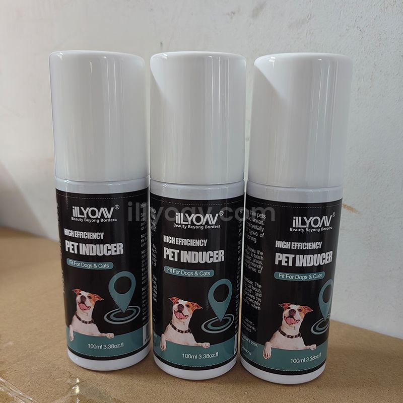 ilLYOAV Pet Inducer Now in Mass Production – The Must-Have Pet Product Flying Off Shelves!