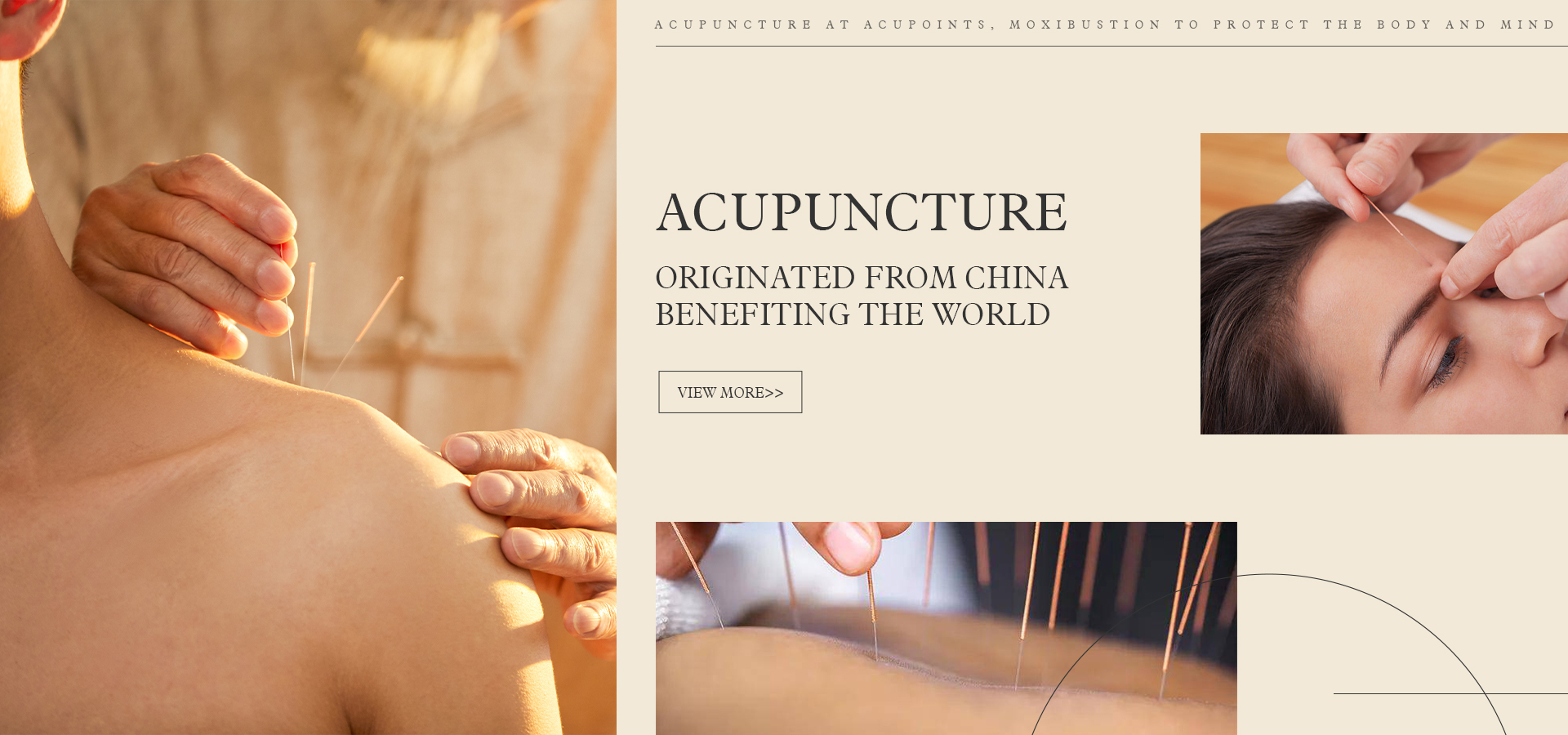 Traditional Chinese Medicine Therapy