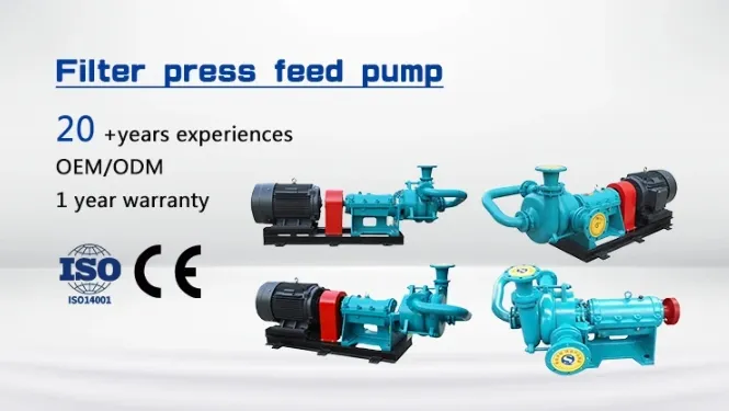 Filter press feed pump