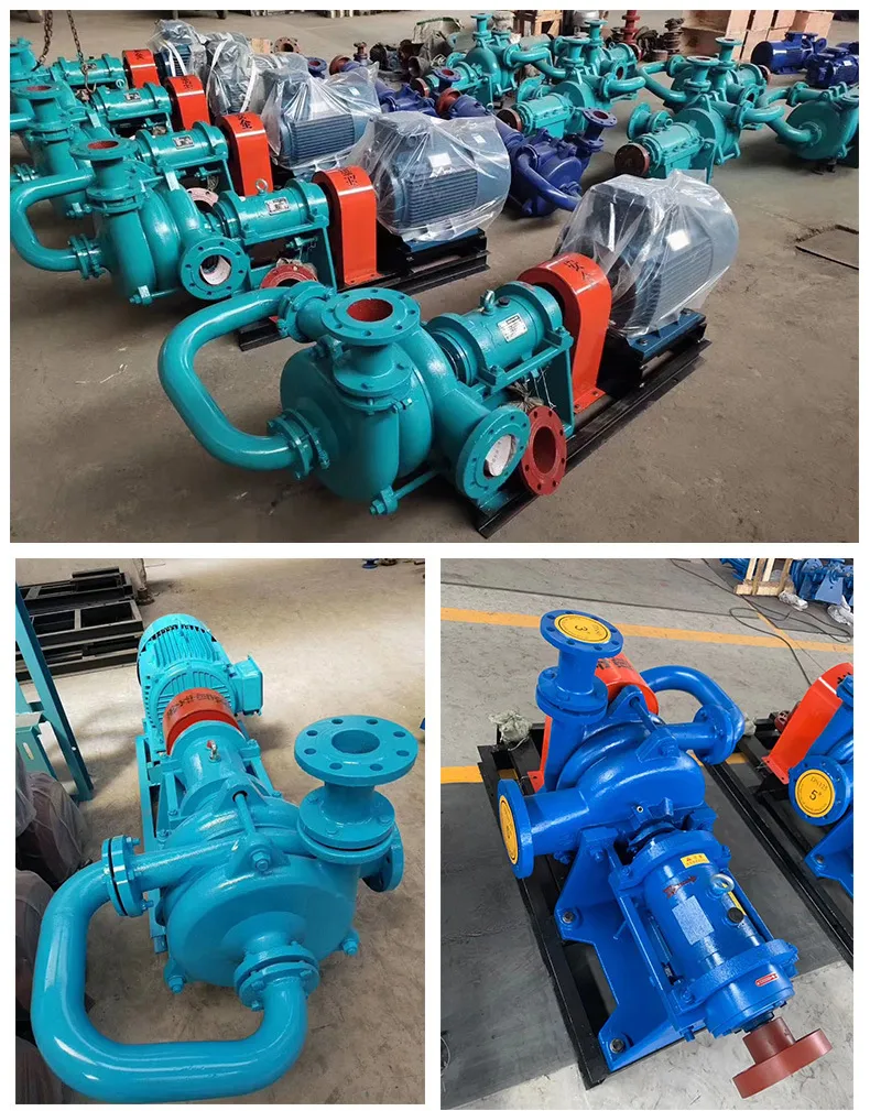 Filter press feed pump