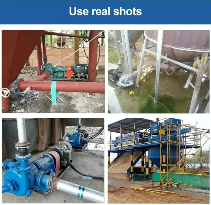 Filter press feed pump