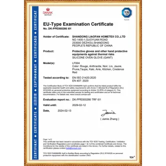 CE EU Product Certification Silicone Glove GANT