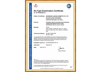 CE EU Product Certification LF003