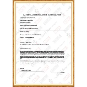 Autorizzazione DISNEY