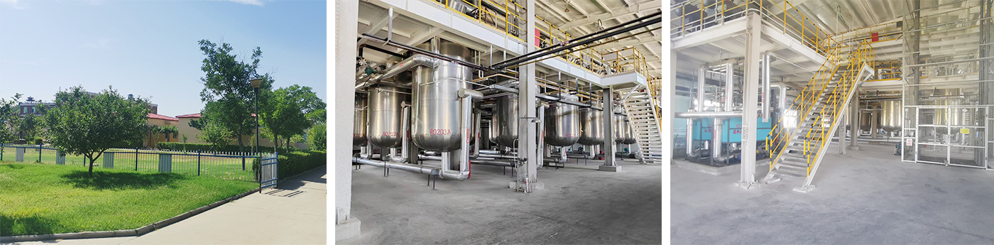 Hebei Guangxing Chemical Industry Co., Ltd.