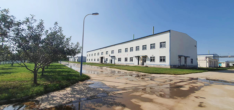 Hebei Guangxing Chemical Industry Co., Ltd.