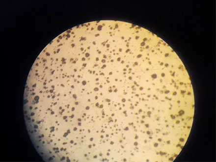 FORMWORK ACCESSORY WING NUT ANCHOR NUT