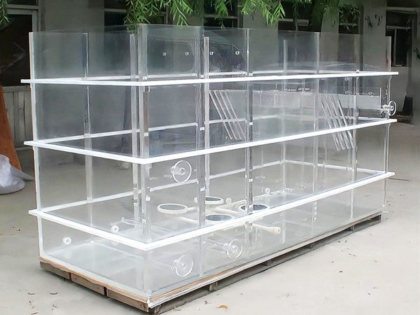 KDSX Custom Acrylic Fish Tank – Durable & Stunning Aquatic Displays