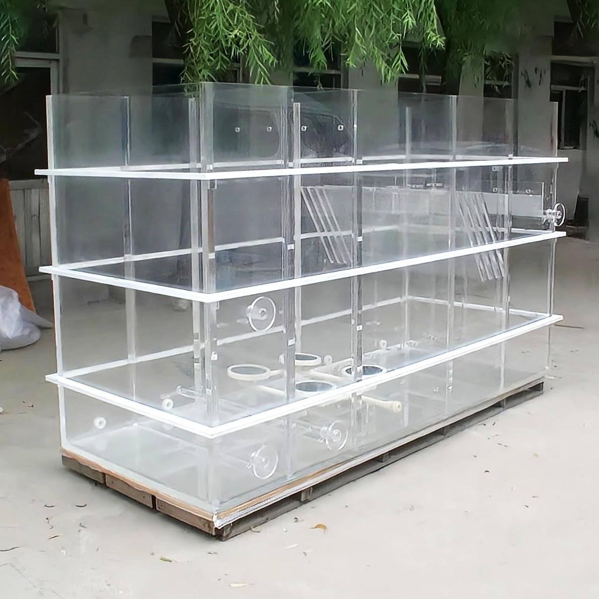 {acrylic fish tanks}