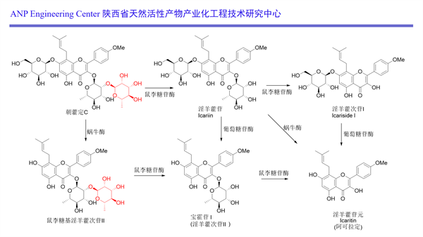 Cuikang Pharmaceutical | Focuses on the New Exploration of Rare Ginsenosides, and is Committed to the Modern Solution of Ginseng Food