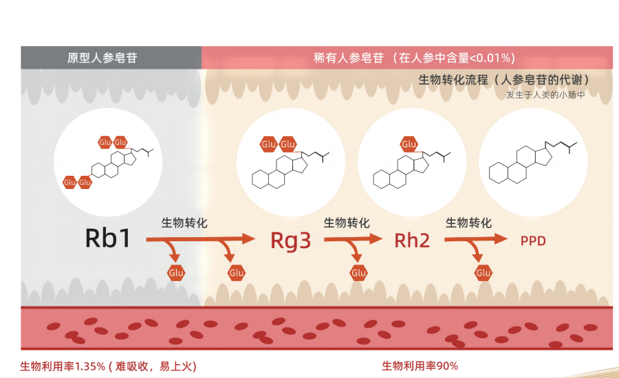 Cuikang Pharmaceutical | Focuses on the New Exploration of Rare Ginsenosides, and is Committed to the Modern Solution of Ginseng Food