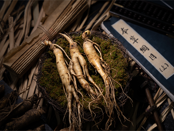 Cuikang Pharmaceutical | Focuses on the New Exploration of Rare Ginsenosides, and is Committed to the Modern Solution of Ginseng Food