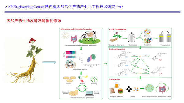 Cuikang Pharmaceutical | Focuses on the New Exploration of Rare Ginsenosides, and is Committed to the Modern Solution of Ginseng Food