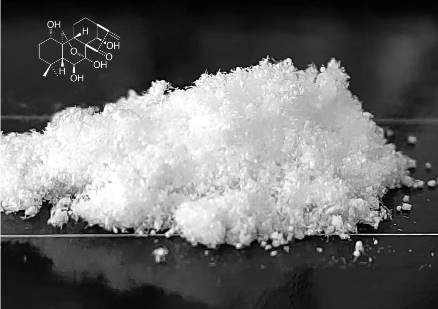 High purity monomer - Oridonin