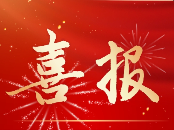 【Company News】Congratulations to our technical team on the successful delivery of the following synthetic technology projects to our foreign customers