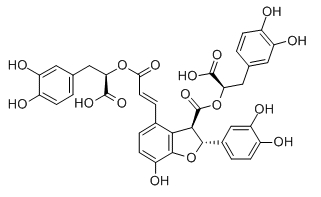 Salvianolic acid B