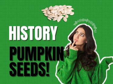 Exploring the Rich History of Pumpkin Seeds: A Treasured Culinary Heritage from the Americas, Now in China