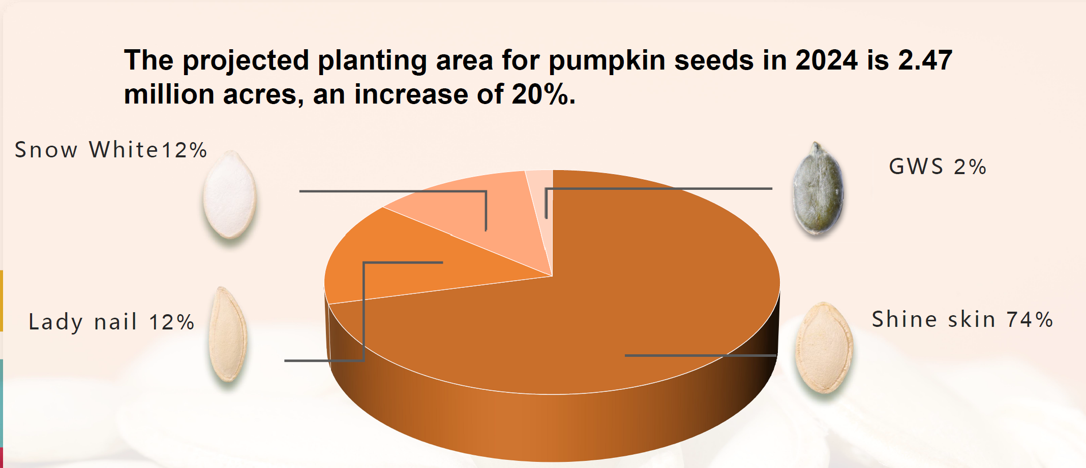 2024 Pumpkin Seed Planting Area Expected to Reach 2.47 Million Mu, a 20% Increase from 2023