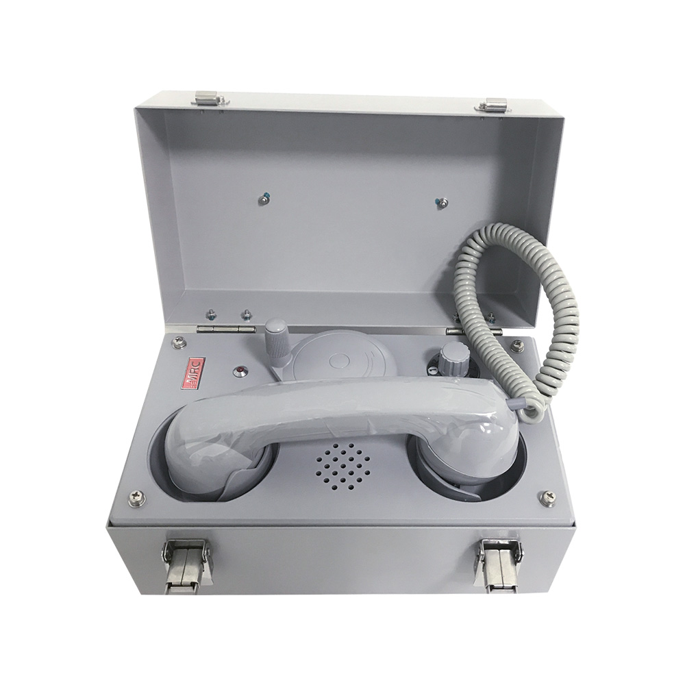 見本盤　Telephone Crache Ton Venin Telephone Black 554 Wall Telephone - Chrome Fingerwheel - Fully