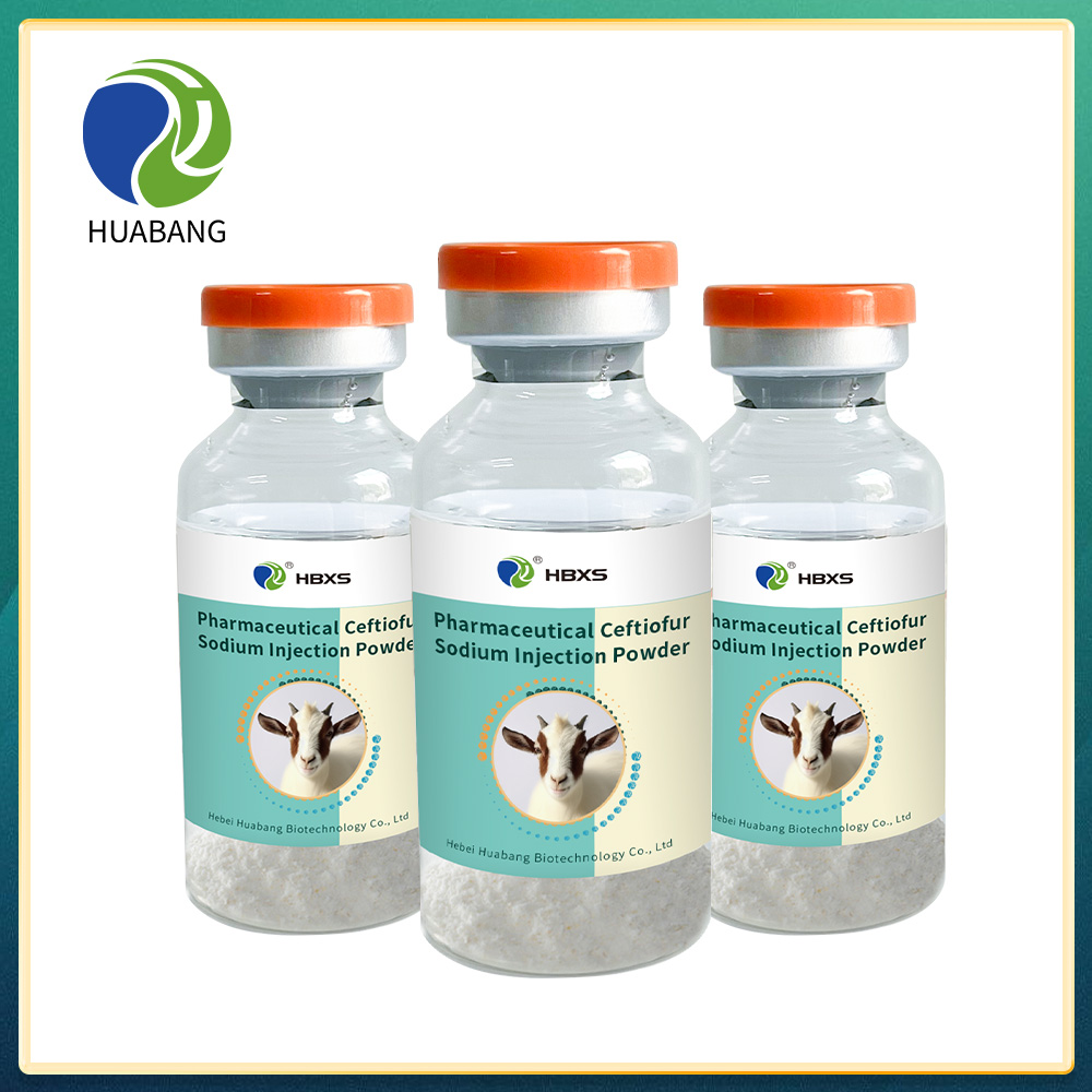 Liquid Injection Powder Pharmaceutical Ceftiofur Sodium Injection Powder