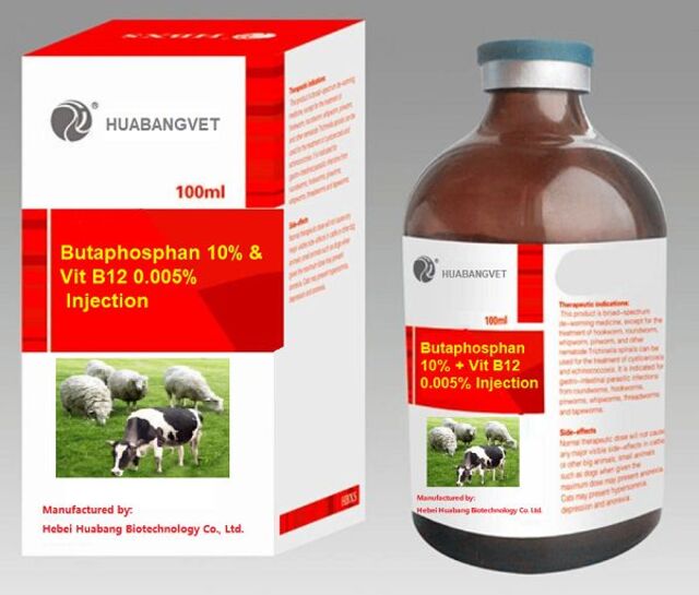 Butaphosphan 10% + Vit B12 0.005% Injection