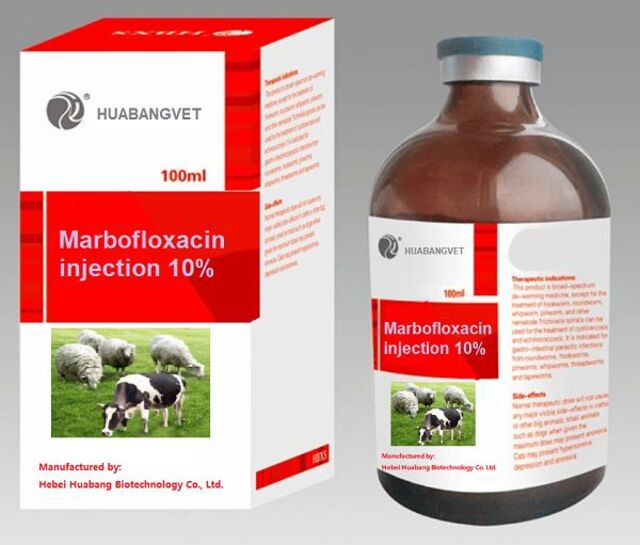 Marbofloxacin Injection 10%