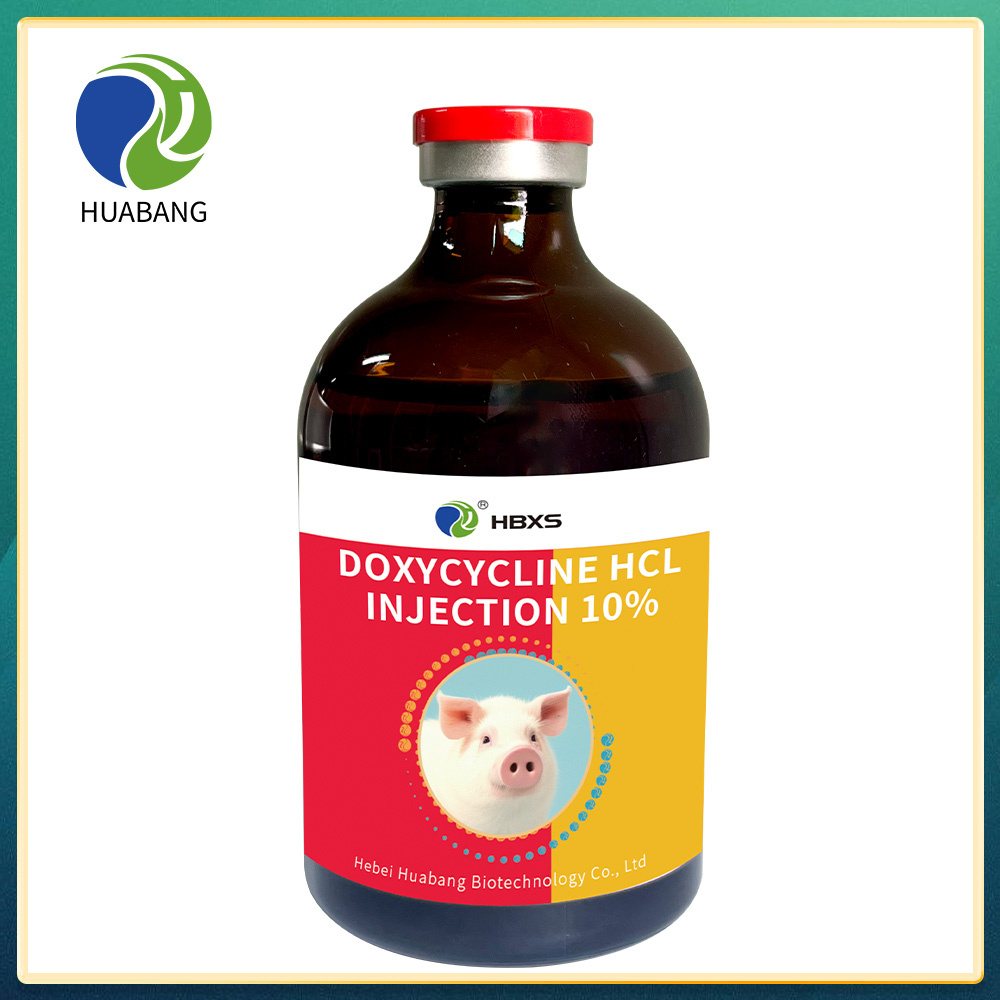 Doxycycline HCl Injection 10%