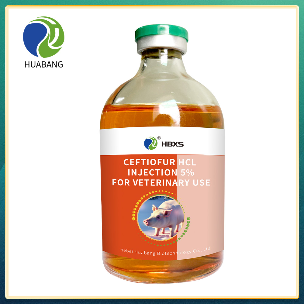 Ceftiofur HCL injection 5% For Veterinary Use