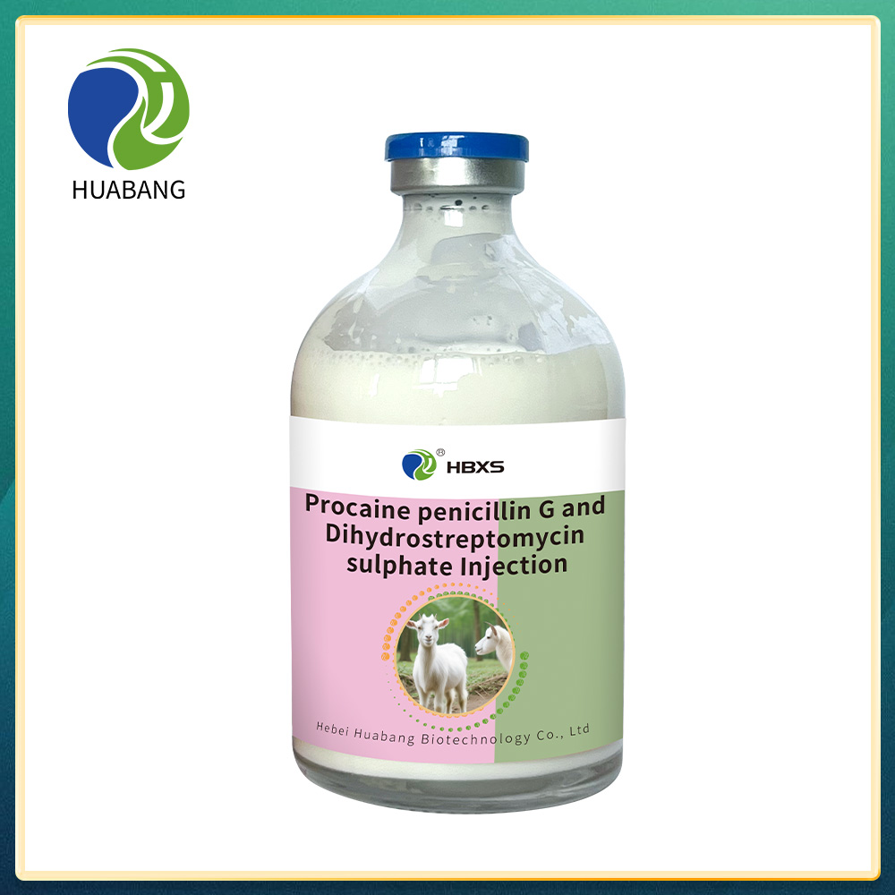 Procaine penicillin G and Dihydrostreptomycin sulphate Injection