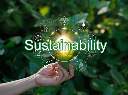 Promoting sustainable development of paper products: Strategy and practice