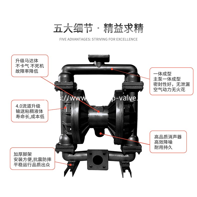 QBK-T Cast Iron Pneumatic Diaphragm Pumps