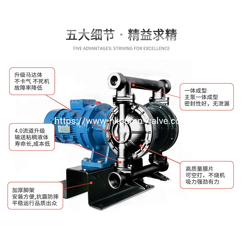 DBY-T Cast Iron Electric Diaphragm Pumps