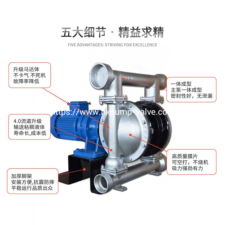 DBY-G Stainless Steel Electric Diaphragm Pumps