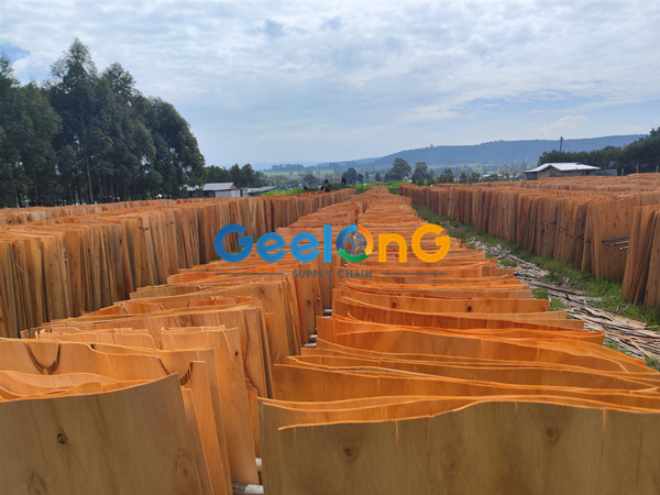 1.7mm Eucalyptus Core Veneer Export