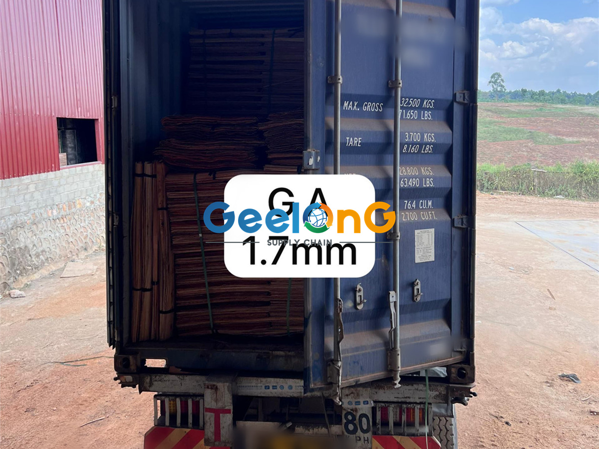 1.7mm grade A eucalyptus core veneer ready for shipment