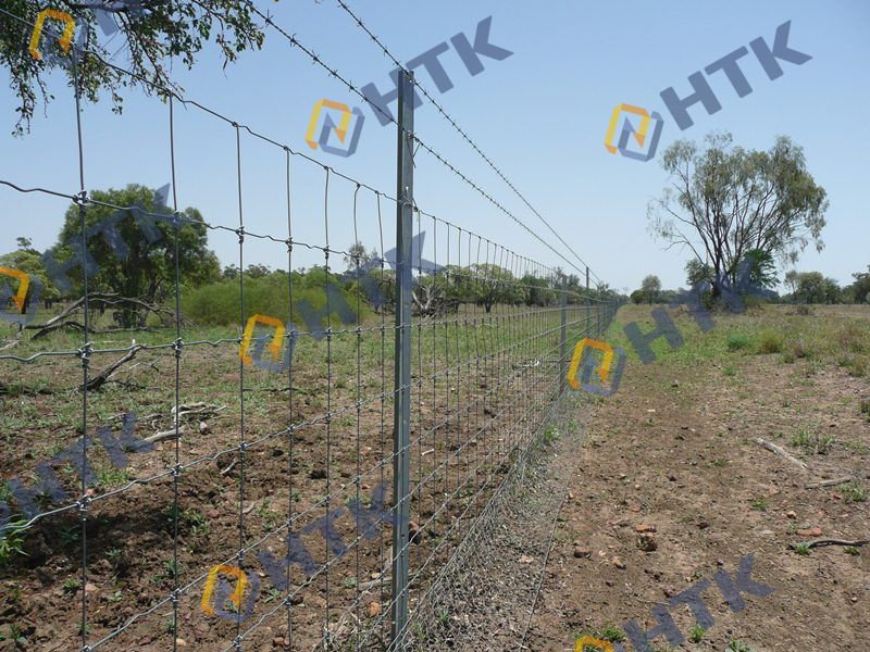 Quality Fixed Knot Fence for Ultimate Security and Style | Buy Now!