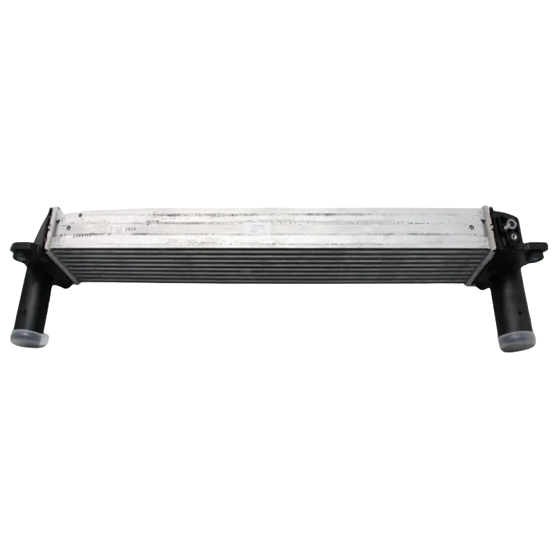 Changan Univ Electronic Low Temperature Radiator - Complete with ...