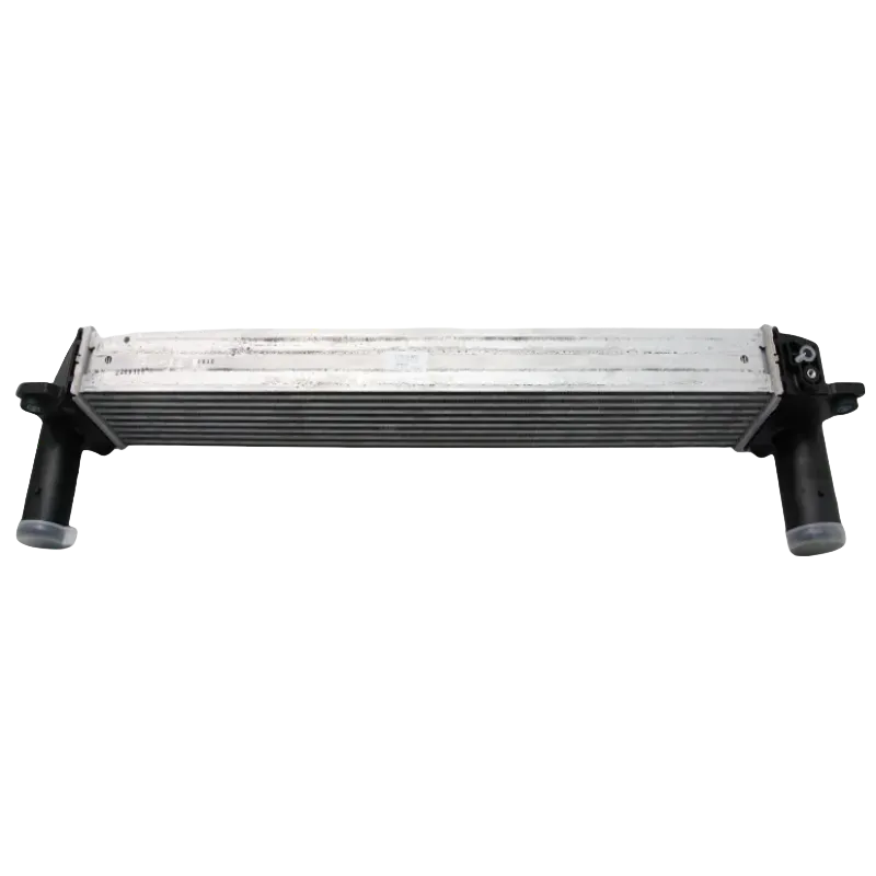 Changan Univ Electronic Low Temperature Radiator - Complete with ...