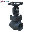 The Forged Steel NPT(S.W) Gate Valve CL150-800