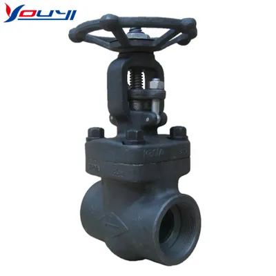 The Forged Steel NPT(S.W) Gate Valve CL150-800