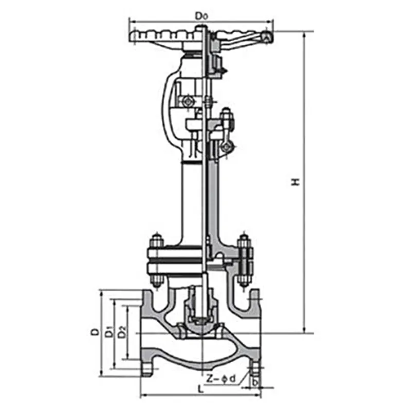 Cryogenic Globe Valve