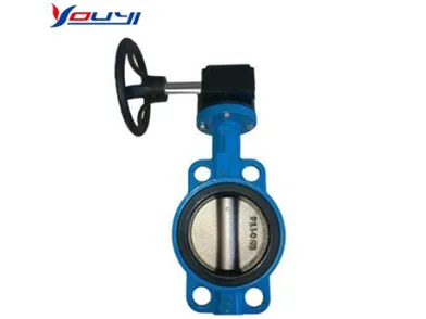 What is a Butterfly Valve Used for?