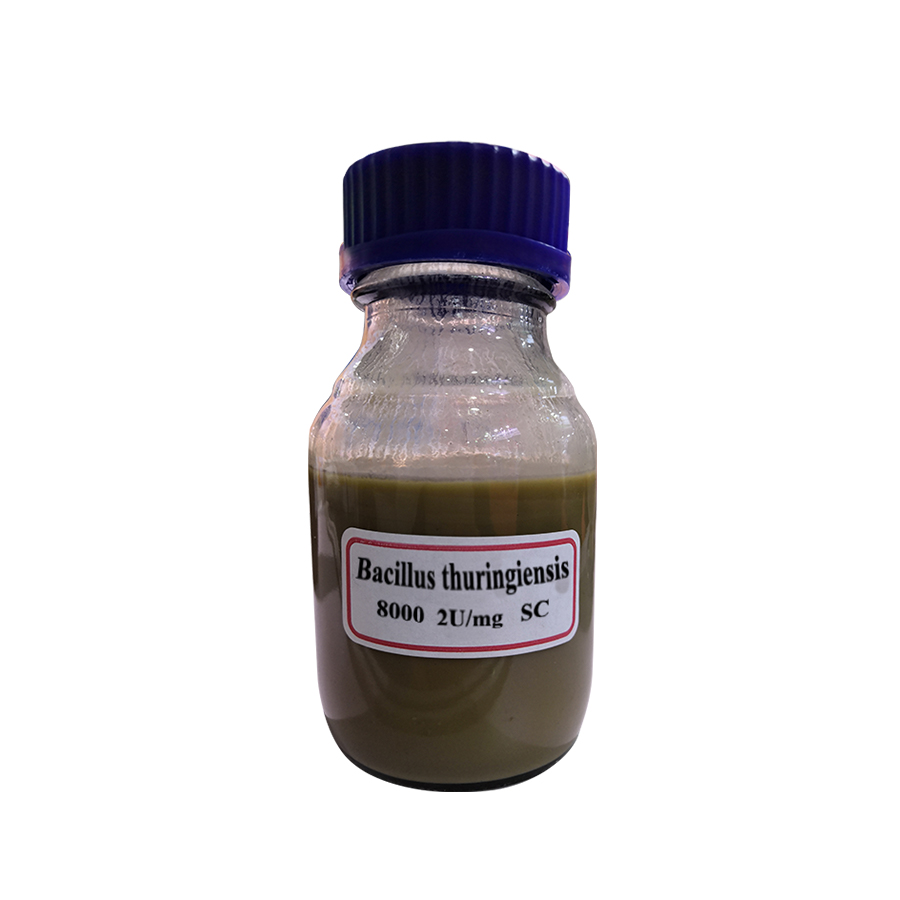 Bacillus thuringiensis insecticide