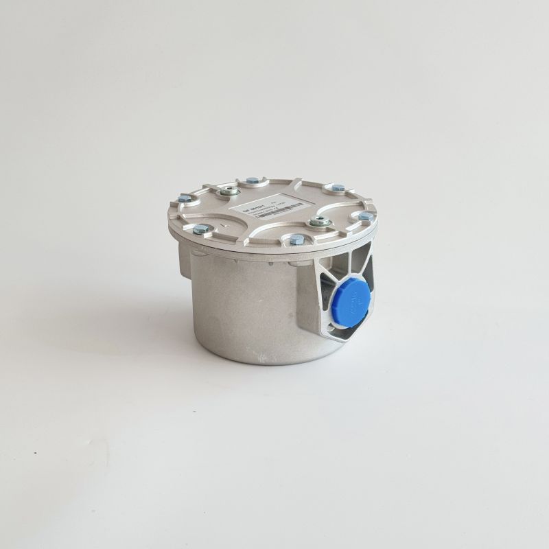 Supplier GF1020/1 Industrial Burner-Specific Gas Filter